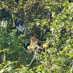 Photo taken by Sabiha K