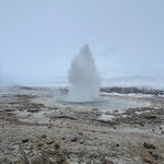 Photo taken by Laurel W