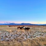 Photo taken by Kristin T