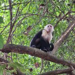 Photo taken by Touraj K