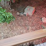 Photo taken by Don P