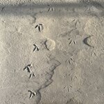 Photo taken by Breann B