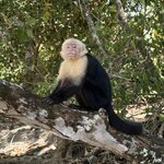 Photo taken by Ora Y