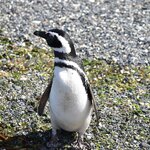 Photo taken by Raj M