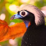 Photo taken by Dennis H