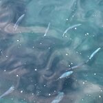 Photo taken by Marcia B