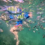 Photo taken by Shaula L