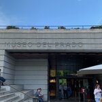 Photo taken by Sandra B