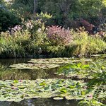 Photo taken by Nina W