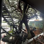 Photo taken by Sarah C