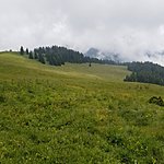 Photo taken by Kim R