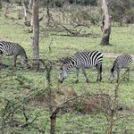 Photo taken by Michael L