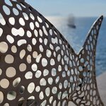 Photo taken by Diane H