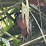 Photo taken by Erna P