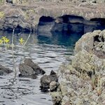 Photo taken by Ben S