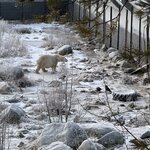 Photo taken by Nikki S