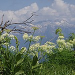 Photo taken by Shree L