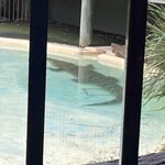 Photo taken by Cindy H