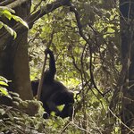 Photo taken by Fuad A