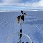 Photo taken by Cathy N