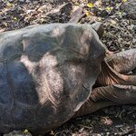 Photo taken by mimi s