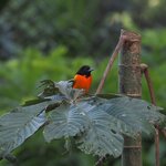 Photo taken by Dawne D