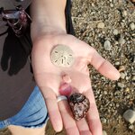 Photo taken by Steven P