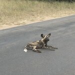 Photo taken by Christopher F