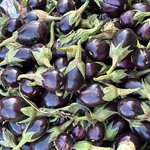 Photo taken by Susan R