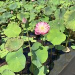 Photo taken by Ulrike S