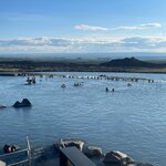 Photo taken by Anita H