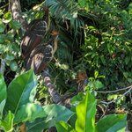 Photo taken by nikunj g