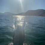 Photo taken by Colleen M