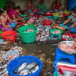 The Fish Market in Yangon, so raw and unorganised but such a buzz of activities. | Photo taken by Tack S