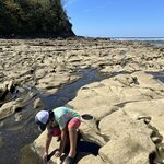 Photo taken by Patrice G