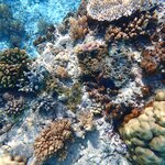 Photo taken by Dixie W