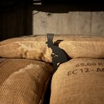 Photo taken by Jennifer D