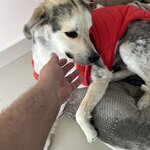 Photo taken by Gerald L