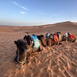 Photo taken by Cecilia A