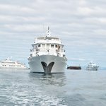 Photo taken by Natascia V