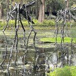 Photo taken by Priya R