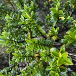 Photo taken by Judah J