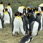 Photo taken by Marcia R