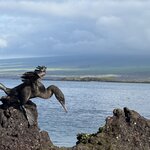 Photo taken by Mark A