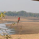 Photo taken by Sushma S