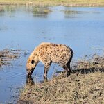 Photo taken by Kaye D