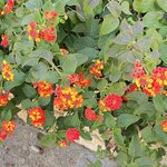 Photo taken by Joan B