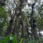 Photo taken by Mandy F