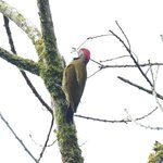 Photo taken by Graeme W