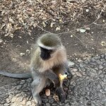 Photo taken by Janie W